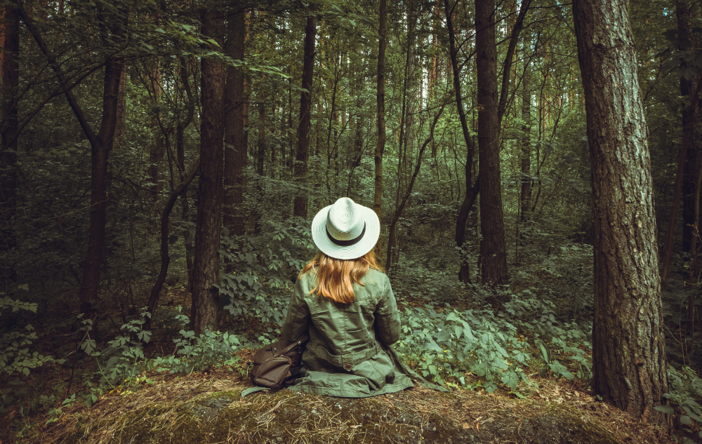 Jay in the forest. Jay with his back to the camera in the forest. - StayWild Outdoor